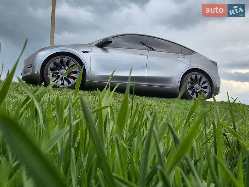 Позашляховик / Кросовер Tesla Model Y 2024 в Дніпрі