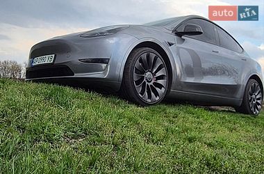 Позашляховик / Кросовер Tesla Model Y 2024 в Дніпрі