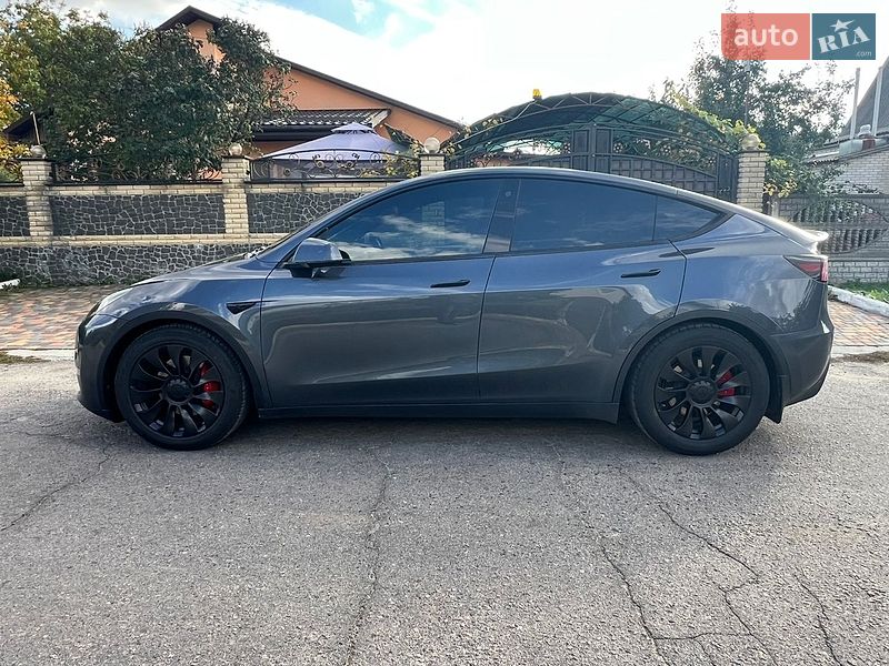 Позашляховик / Кросовер Tesla Model Y 2023 в Сквирі