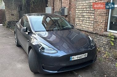Позашляховик / Кросовер Tesla Model Y 2023 в Києві