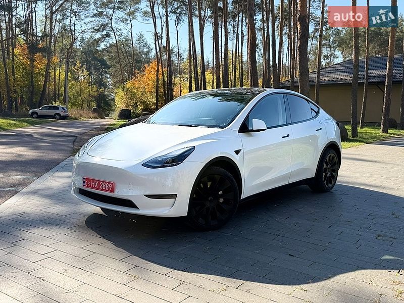 Позашляховик / Кросовер Tesla Model Y 2021 в Житомирі