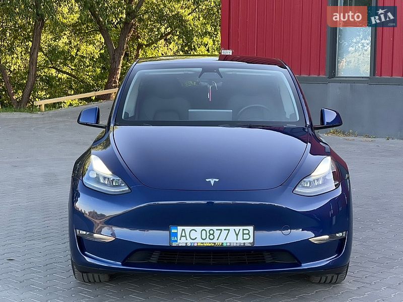 Позашляховик / Кросовер Tesla Model Y 2023 в Луцьку