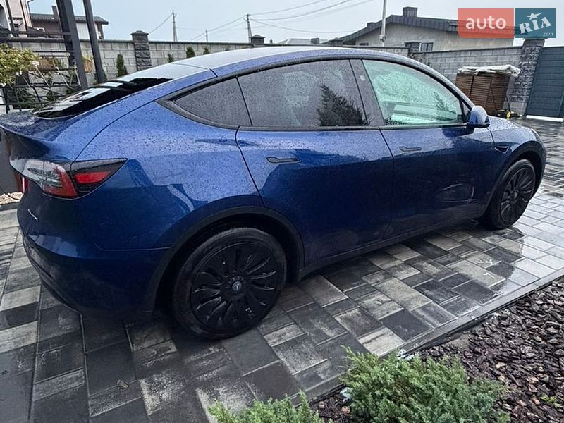 Позашляховик / Кросовер Tesla Model Y 2023 в Рівному