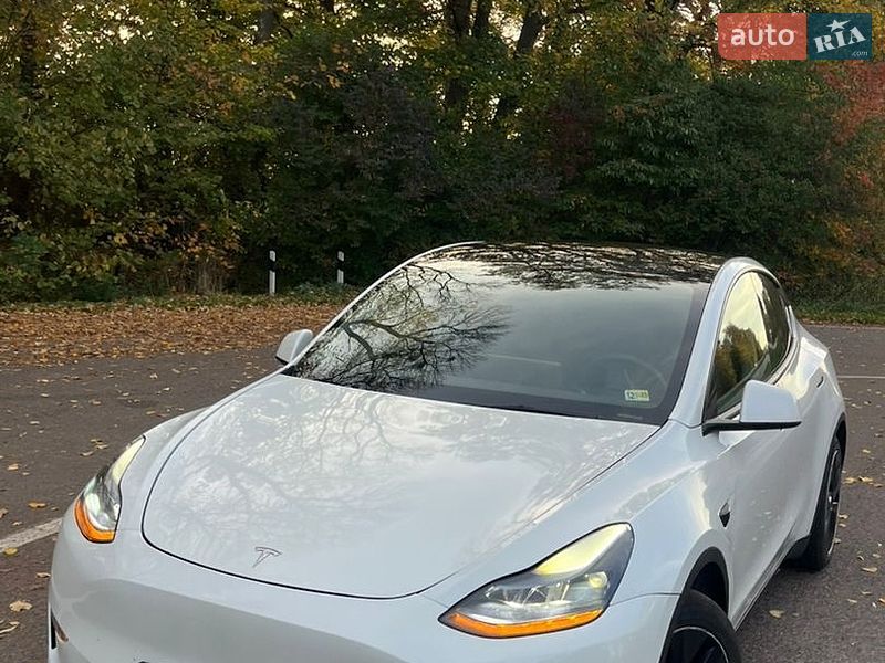 Позашляховик / Кросовер Tesla Model Y 2021 в Львові
