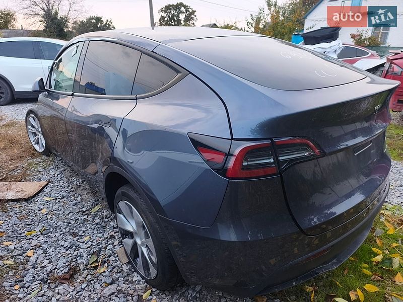 Позашляховик / Кросовер Tesla Model Y 2023 в Сквирі