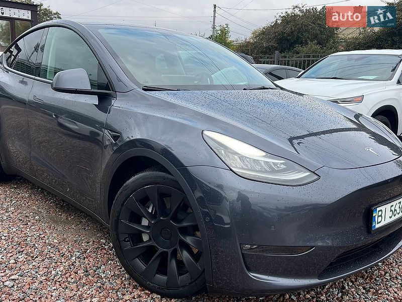 Внедорожник / Кроссовер Tesla Model Y 2021 в Полтаве
