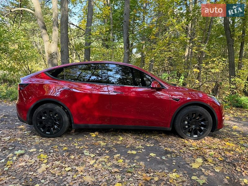 Внедорожник / Кроссовер Tesla Model Y 2022 в Киеве