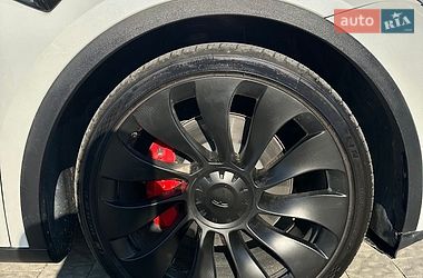 Позашляховик / Кросовер Tesla Model Y 2023 в Львові