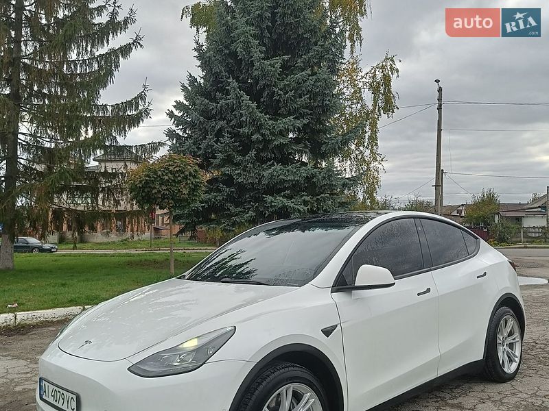 Внедорожник / Кроссовер Tesla Model Y 2022 в Сквире