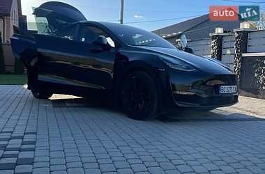Внедорожник / Кроссовер Tesla Model Y 2020 в Самборе