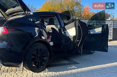 Внедорожник / Кроссовер Tesla Model Y 2020 в Самборе