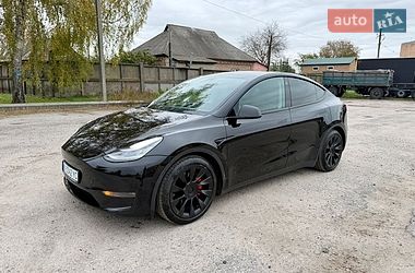 Внедорожник / Кроссовер Tesla Model Y 2020 в Пирятине