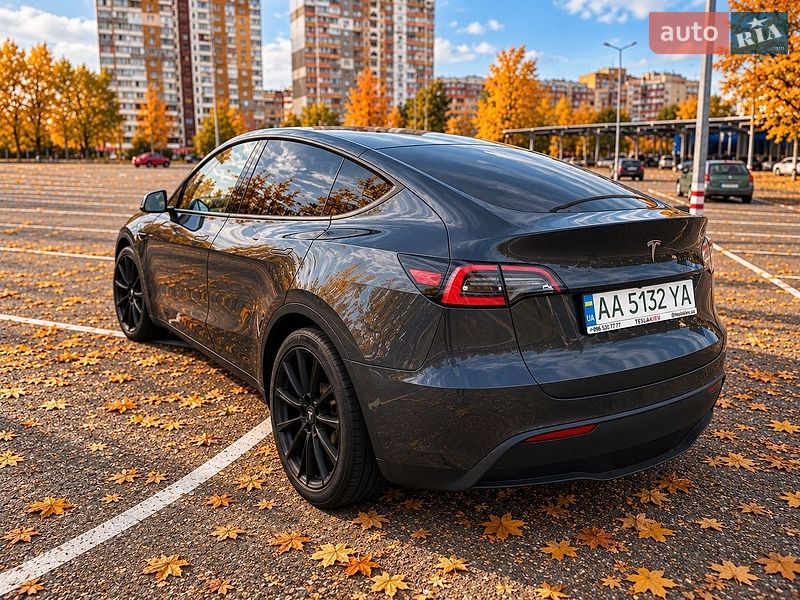Позашляховик / Кросовер Tesla Model Y 2020 в Києві