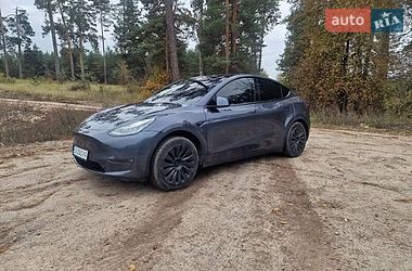 Позашляховик / Кросовер Tesla Model Y 2021 в Львові