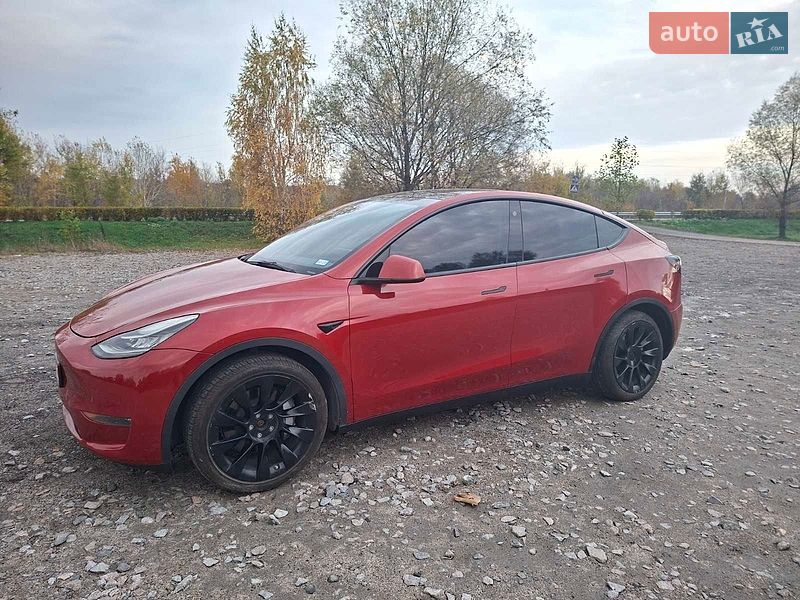 Позашляховик / Кросовер Tesla Model Y 2023 в Бучі