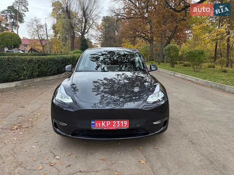 Позашляховик / Кросовер Tesla Model Y 2024 в Києві