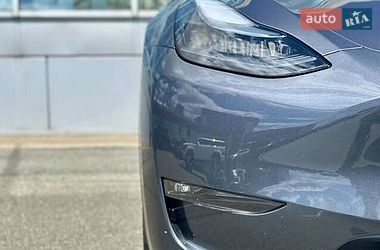 Позашляховик / Кросовер Tesla Model Y 2023 в Києві