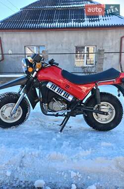 Мотоцикл Позашляховий (Enduro) ТМЗ 5951 1987 в Чопі