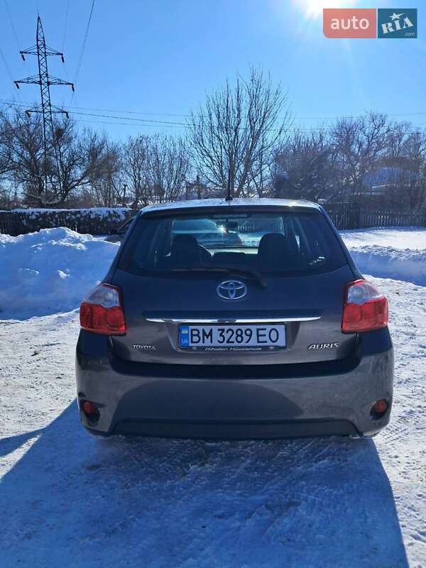 Хэтчбек Toyota Auris 2010 в Конотопе