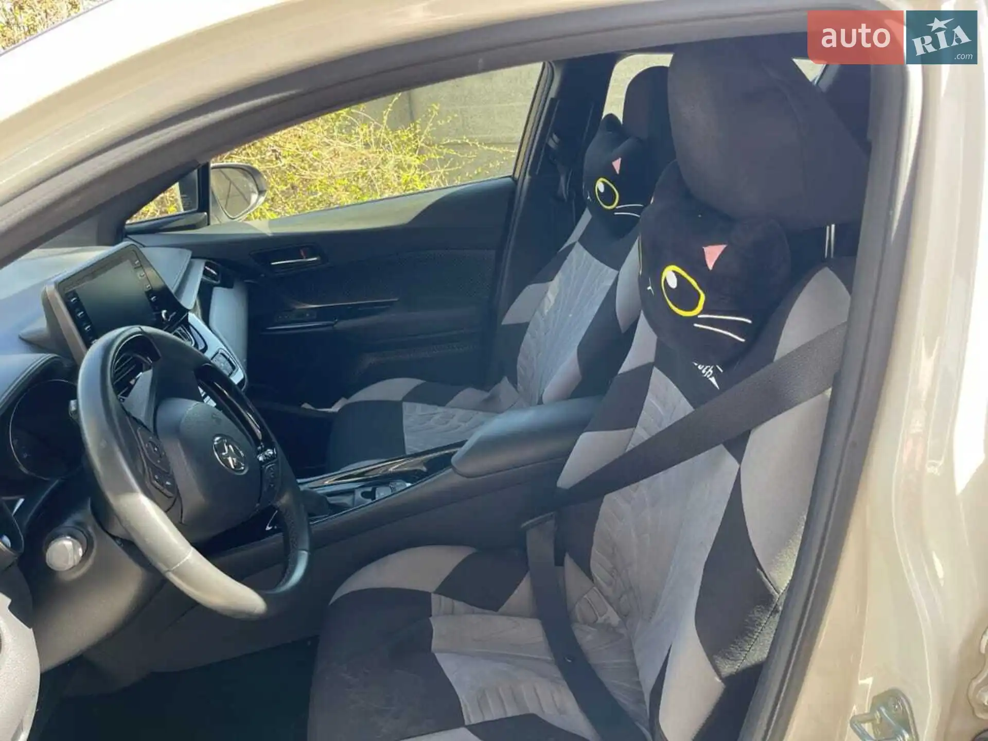 2019 Toyota C-HR - мініатюра 5
