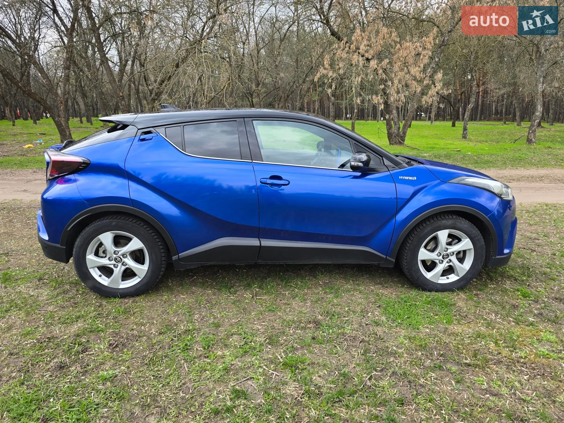 2017 Toyota C-HR - мініатюра 4
