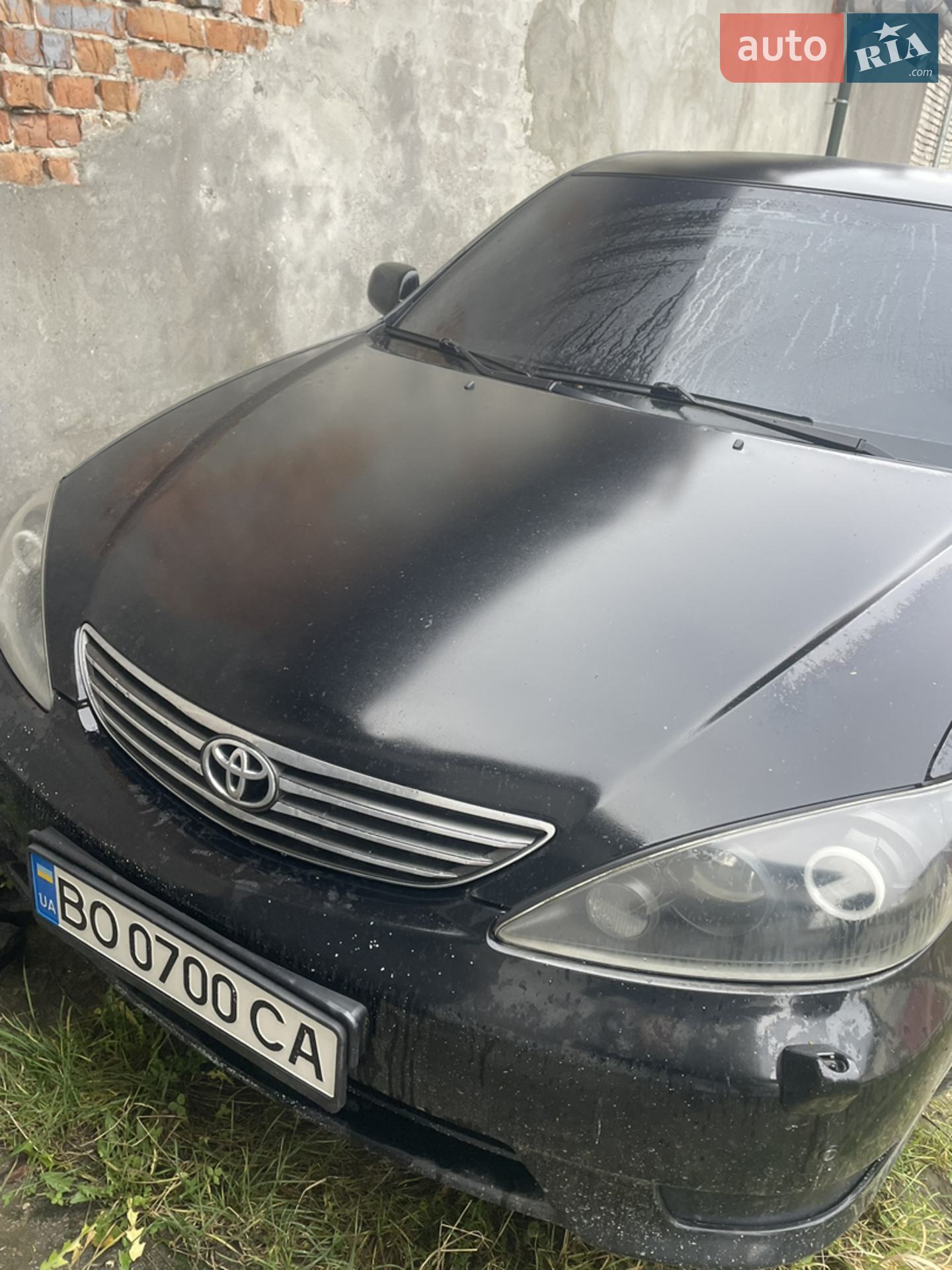 Фото авто 6