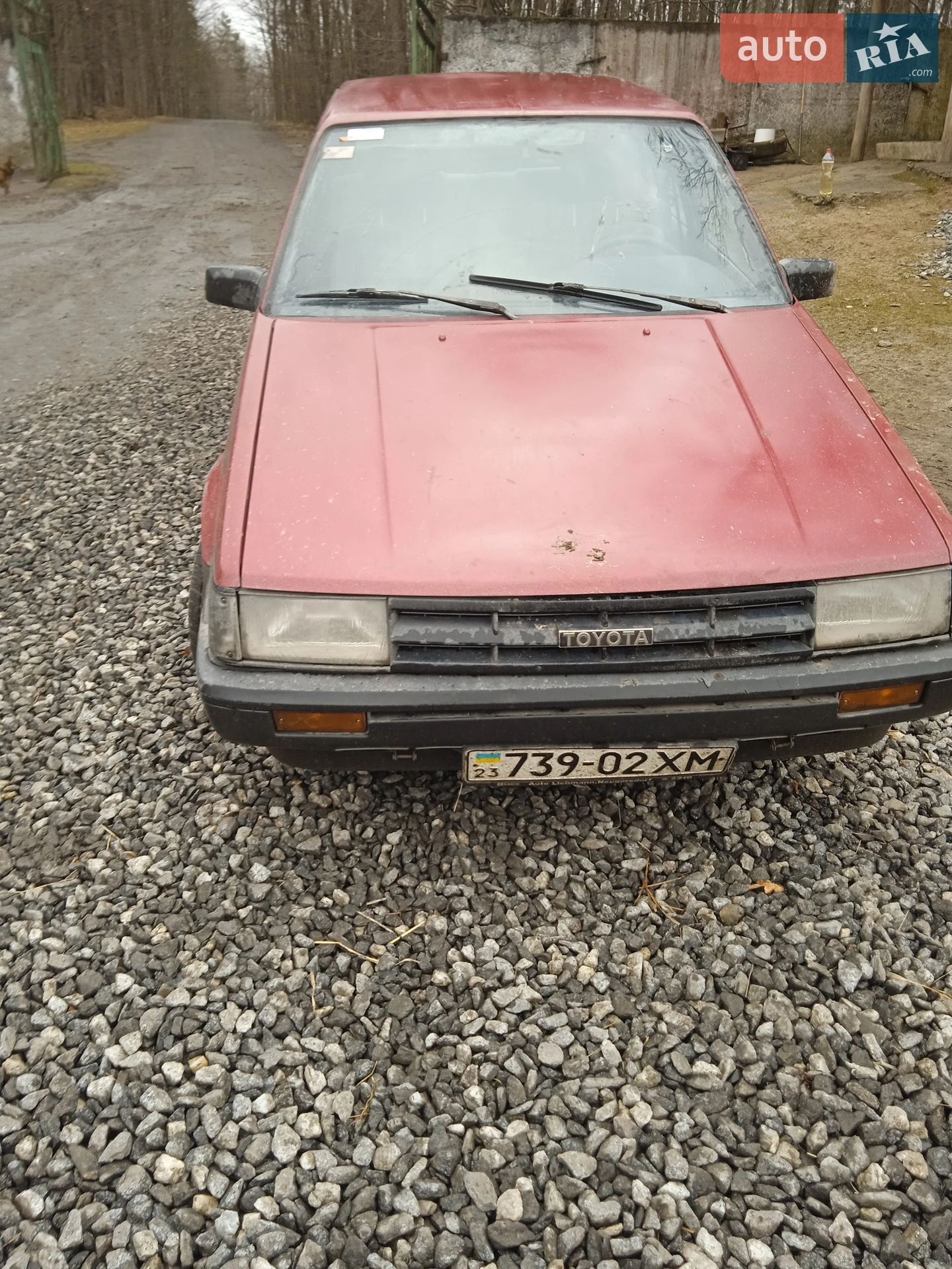 Фото авто 4