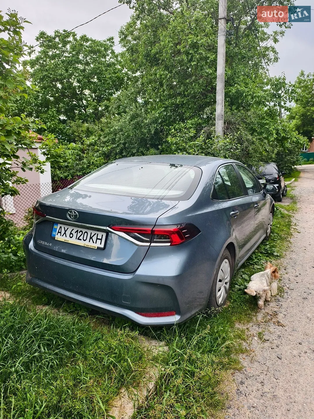 2019 Toyota Corolla - мініатюра 3