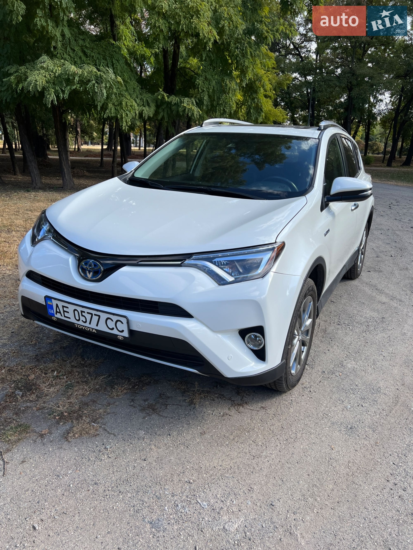2018 Toyota RAV 4 - мініатюра 3