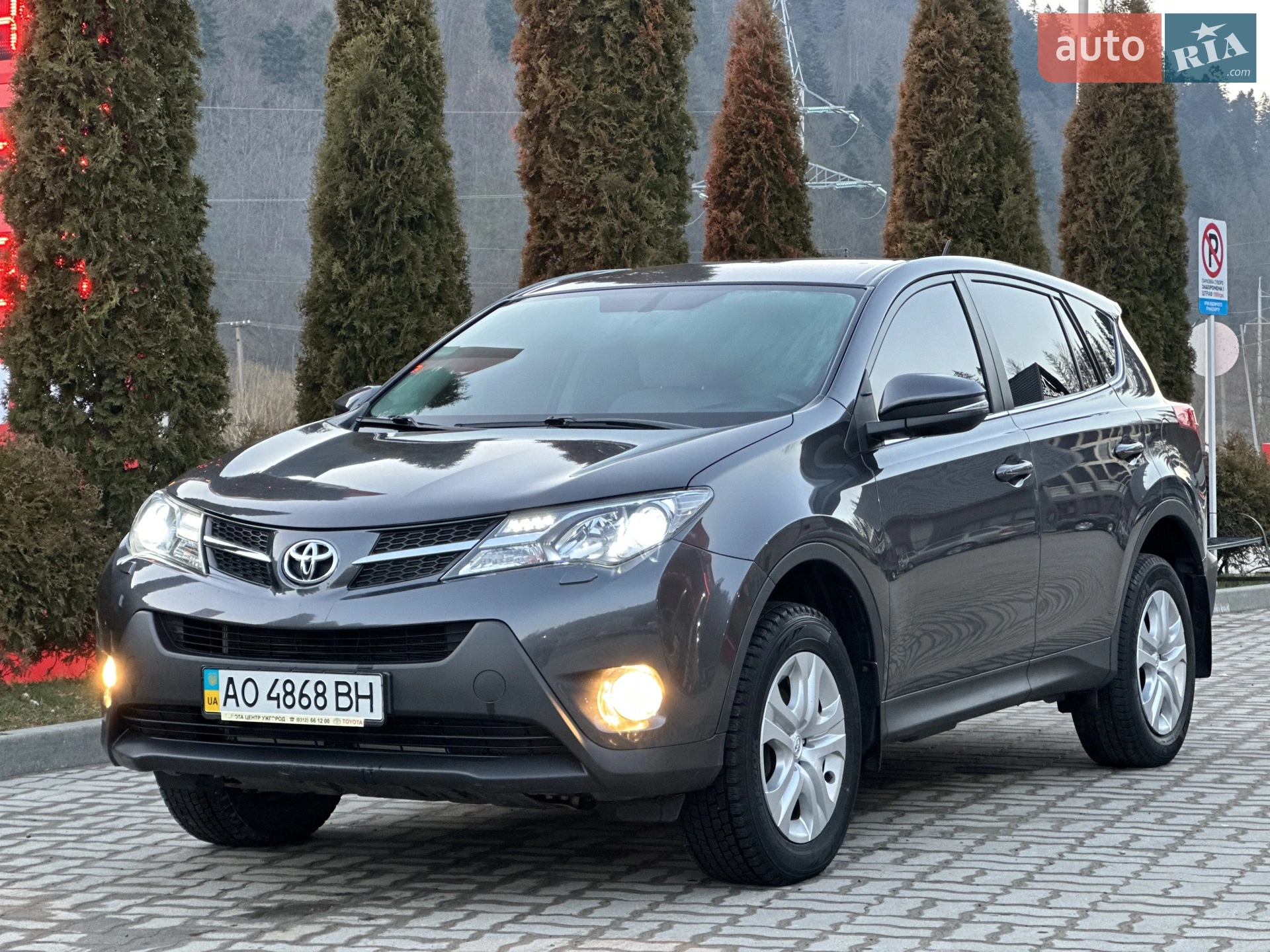 2014 Toyota RAV 4 - мініатюра 2