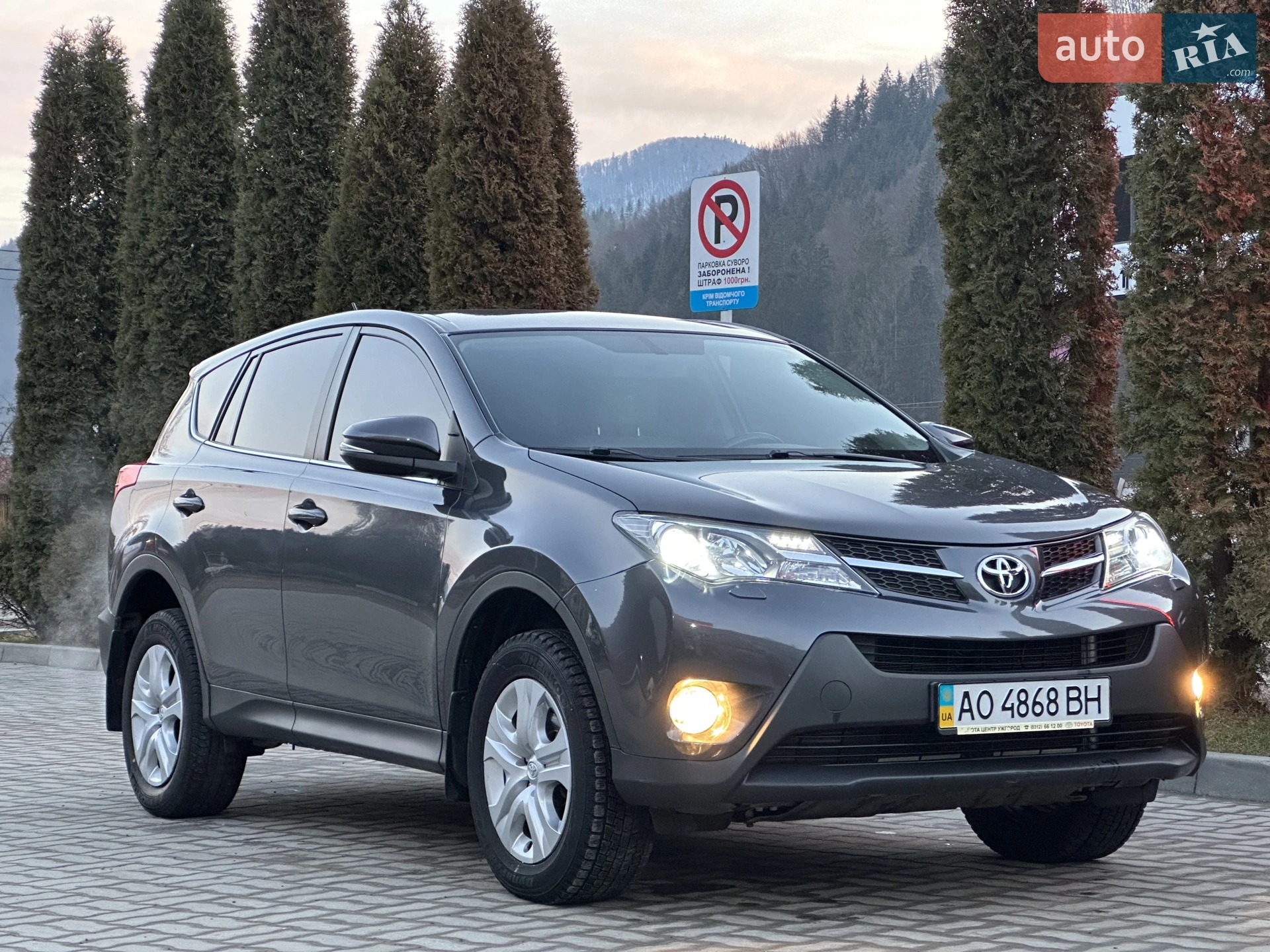 2014 Toyota RAV 4 - фото 1