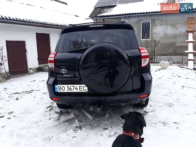 Позашляховик / Кросовер Toyota RAV4 2010 в Кременці