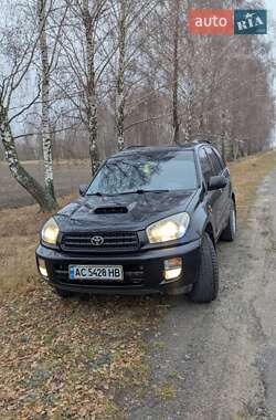 Внедорожник / Кроссовер Toyota RAV4 2001 в Любомле