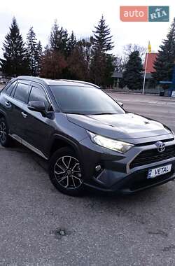 Позашляховик / Кросовер Toyota RAV4 2019 в Валках