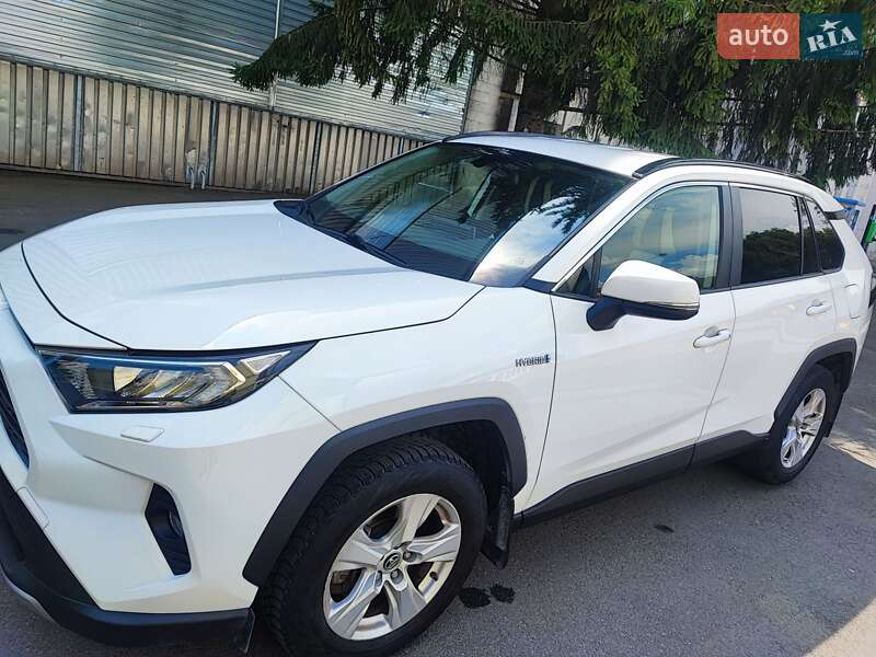 Позашляховик / Кросовер Toyota RAV4 2019 в Києві