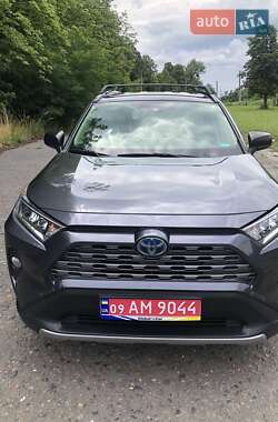 Внедорожник / Кроссовер Toyota RAV4 2019 в 