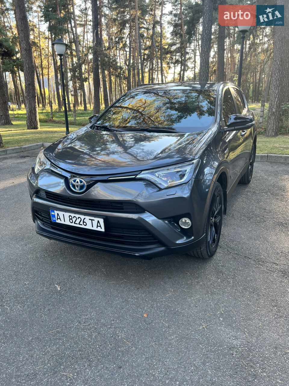 2019 Toyota RAV 4 - мініатюра 42