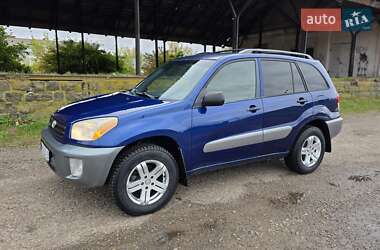 Позашляховик / Кросовер Toyota RAV4 2003 в Бердичеві