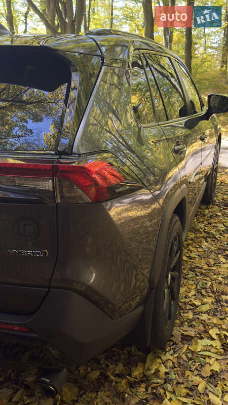 Внедорожник / Кроссовер Toyota RAV4 2019 в Хмельницком фото 17 Внедорожник / Кроссовер Toyota RAV4 2019 в Хмельницком