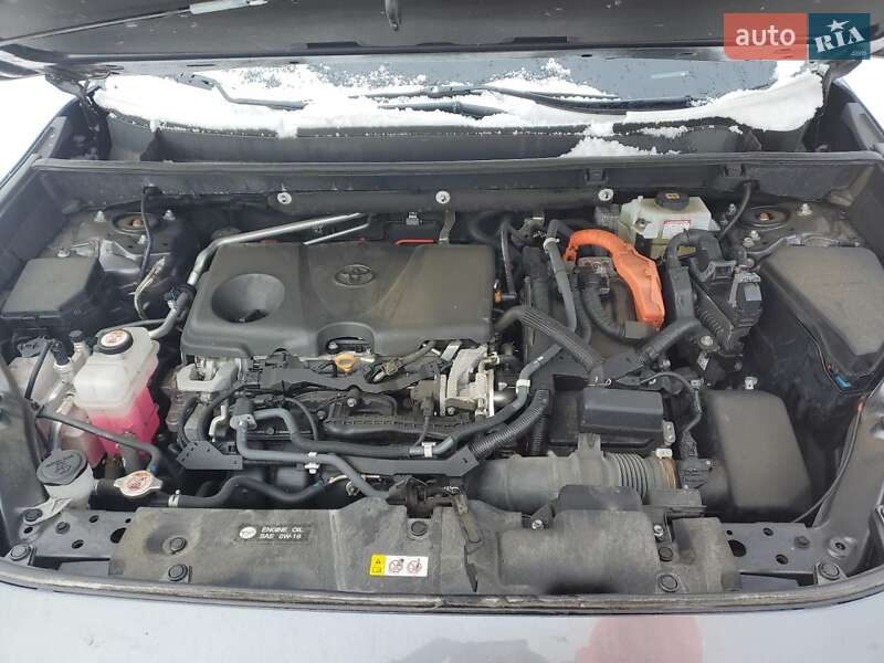 Внедорожник / Кроссовер Toyota RAV4 2021 в Львове фото 11 Внедорожник / Кроссовер Toyota RAV4 2021 в Львове