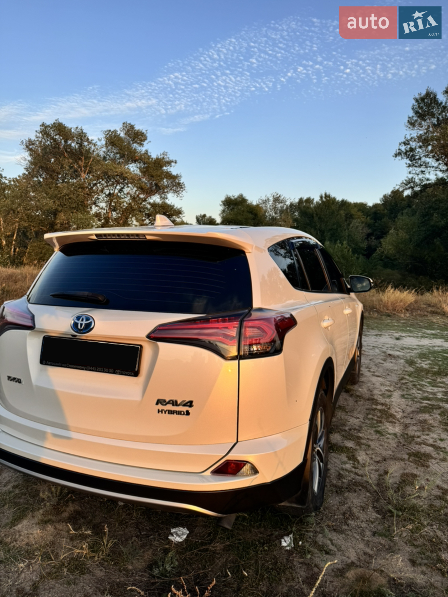 2016 Toyota RAV 4 - мініатюра 2