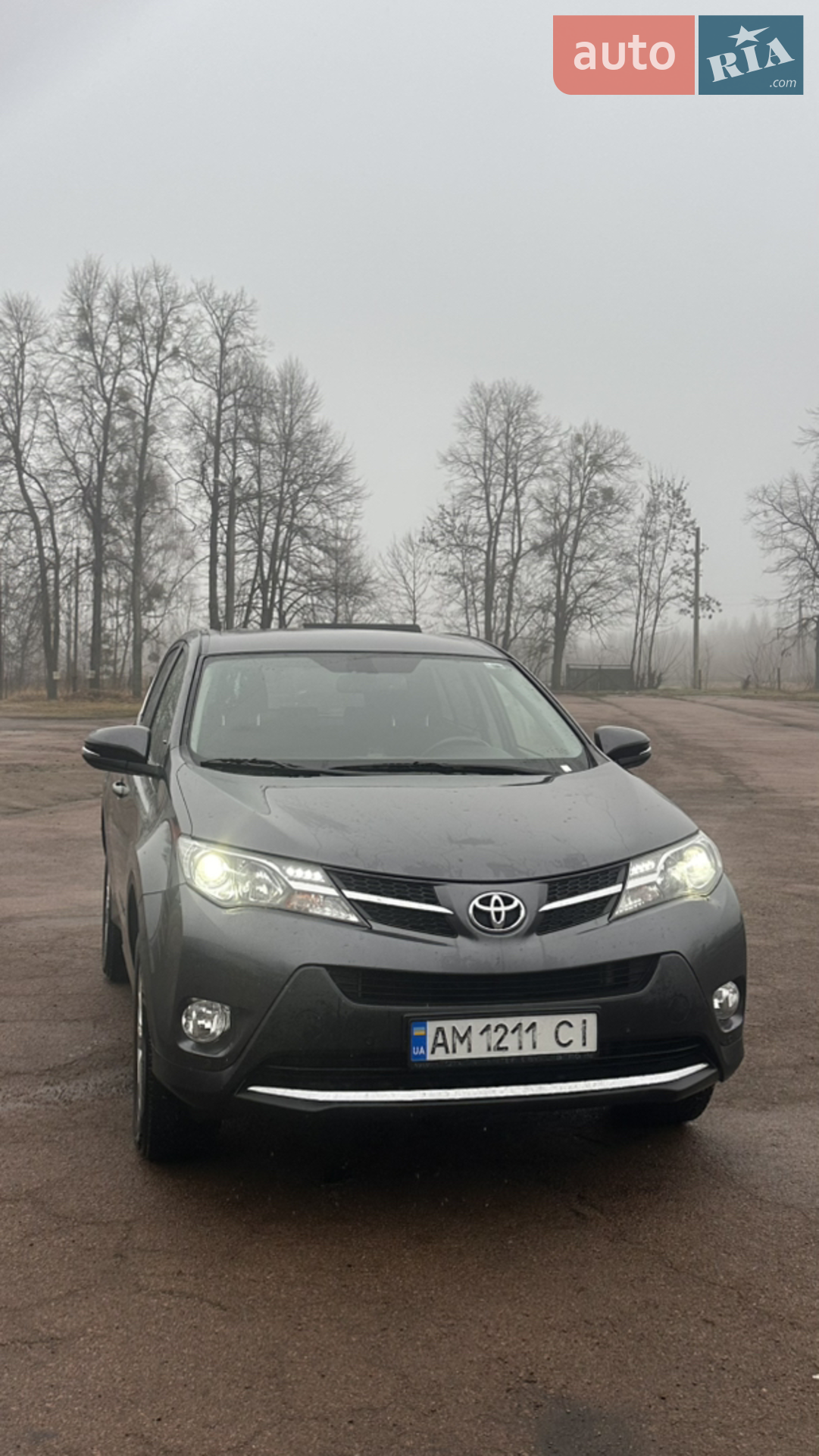 2013 Toyota RAV 4 - мініатюра 2
