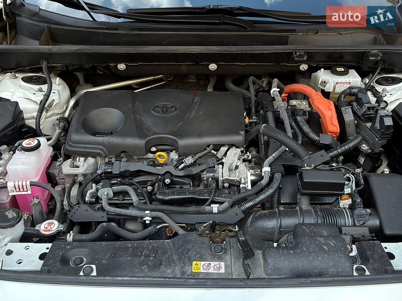 Внедорожник / Кроссовер Toyota RAV4 2020 в Киеве фото 53 Внедорожник / Кроссовер Toyota RAV4 2020 в Киеве