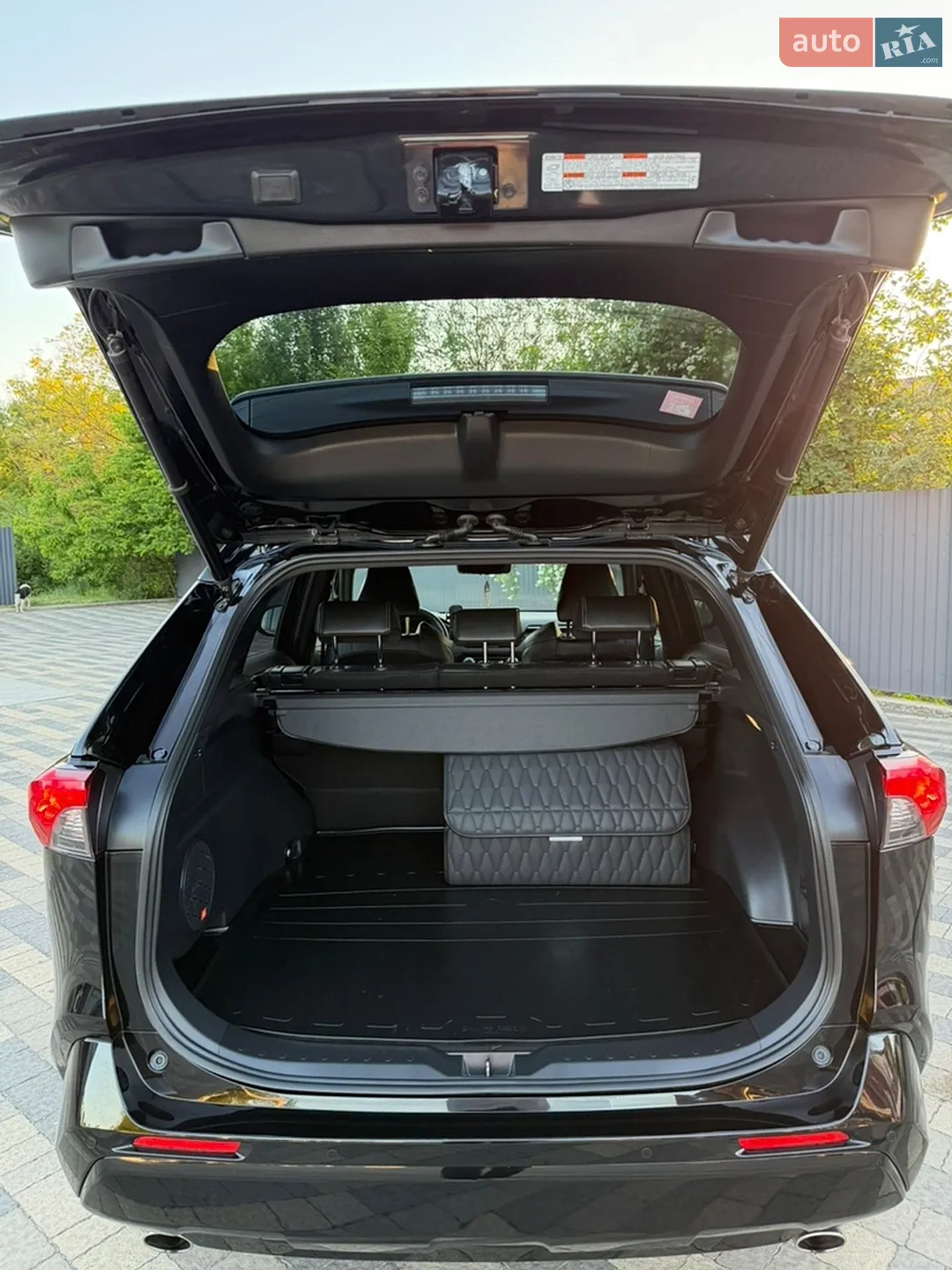 2020 Toyota RAV 4 - мініатюра 10