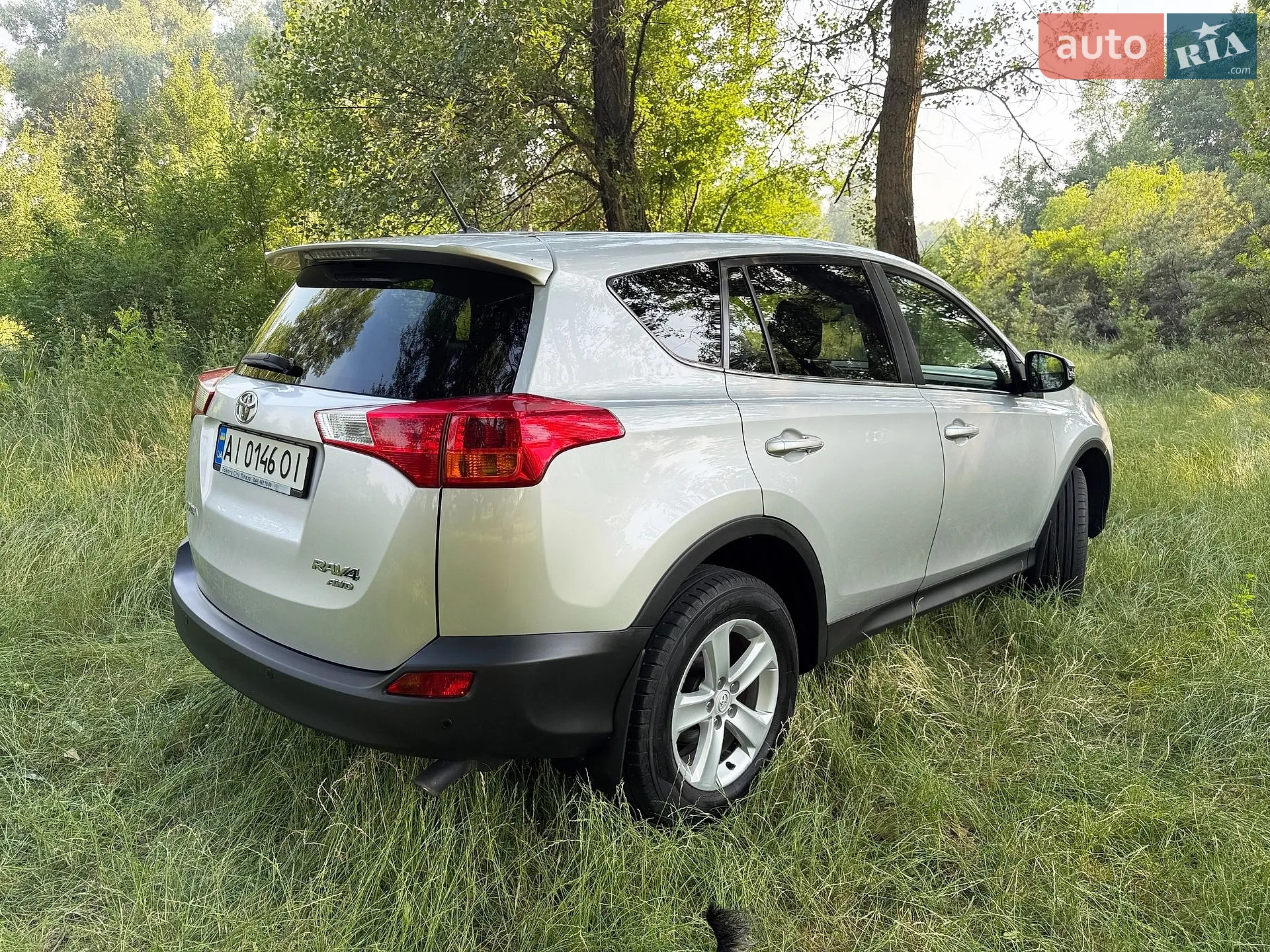 2013 Toyota RAV 4 - мініатюра 22