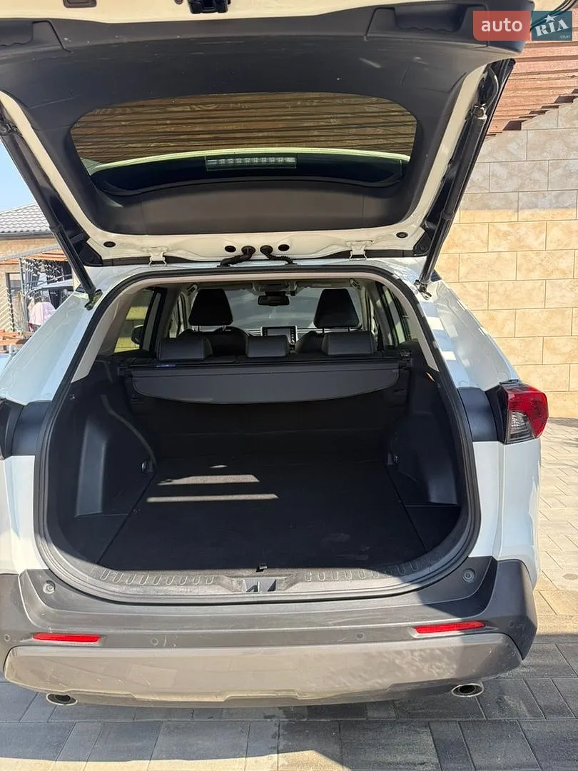 2019 Toyota RAV 4 - мініатюра 18