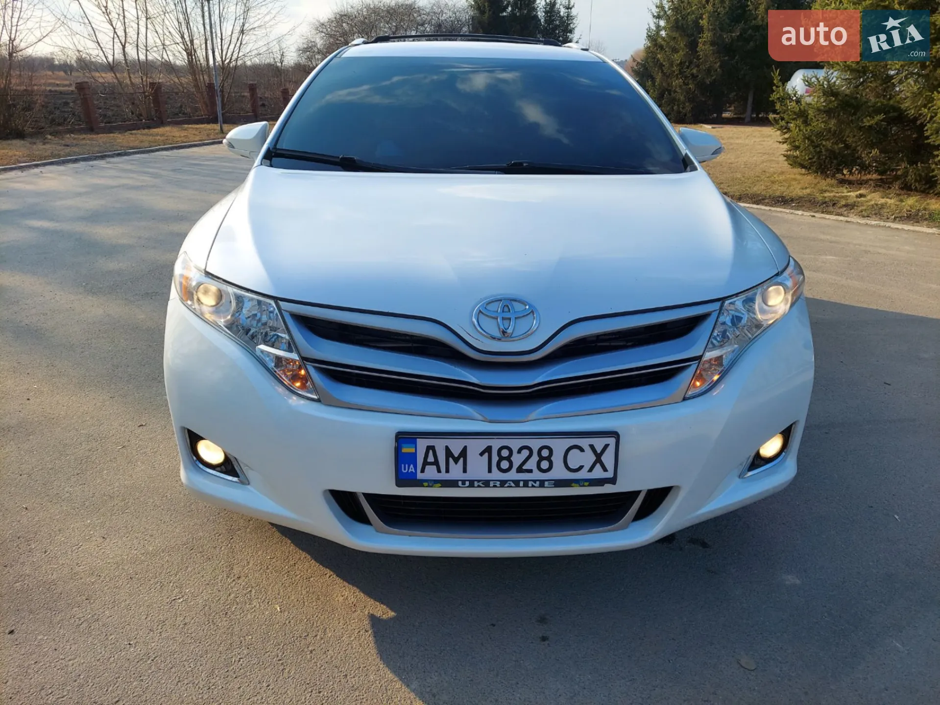 2013 Toyota Venza - мініатюра 2