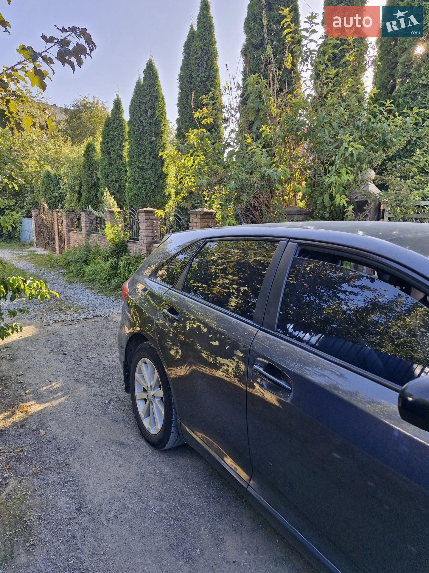 2010 Toyota Venza - мініатюра 3