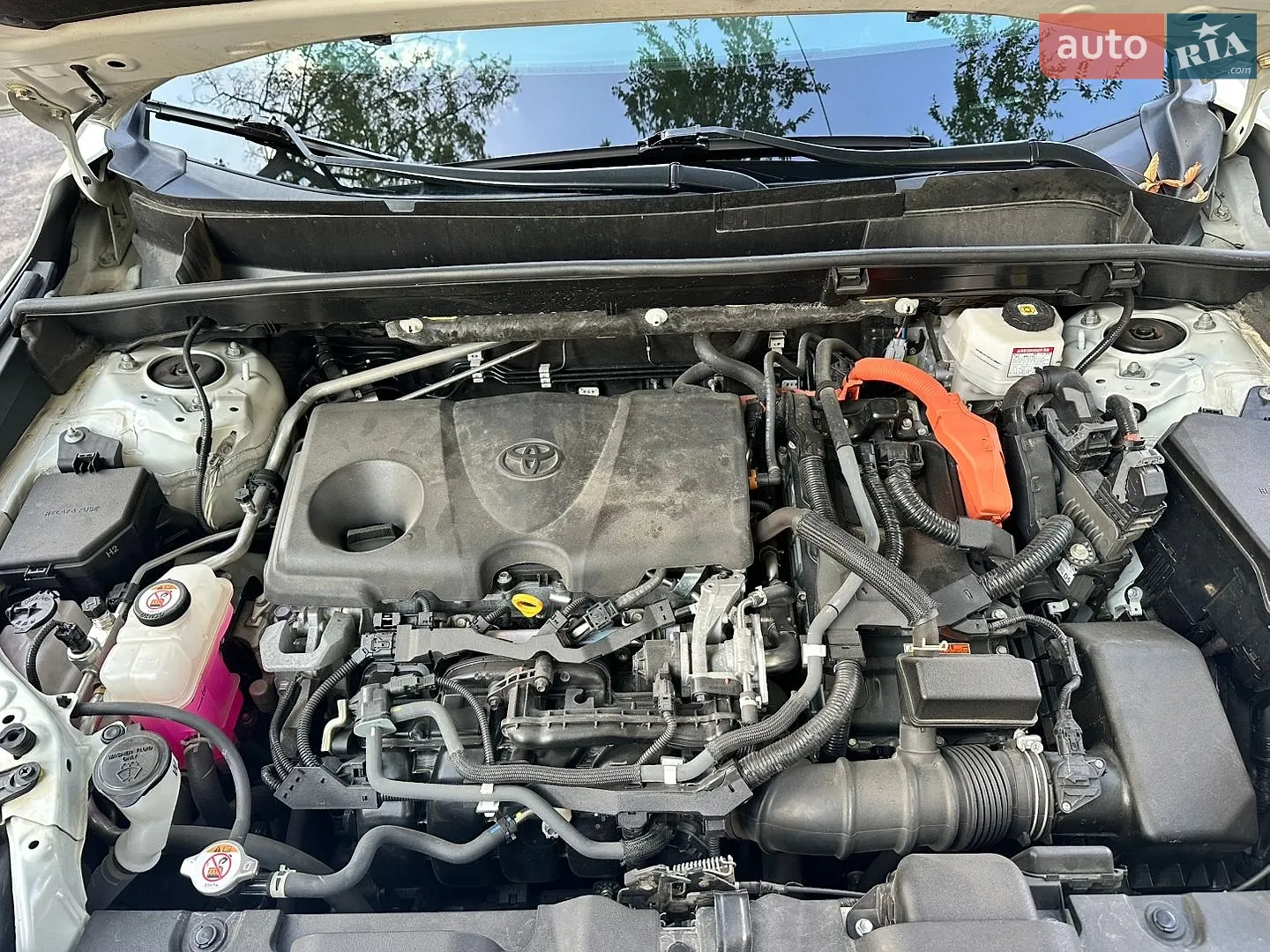 2021 Toyota Venza - мініатюра 19
