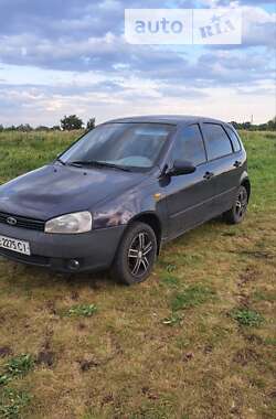 Універсал ВАЗ / Lada 1117 Калина 2008 в Дніпрі